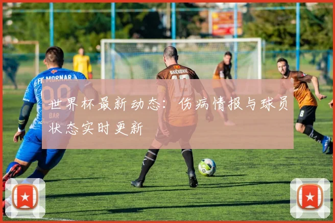 世界杯最新动态：伤病情报与球员状态实时更新